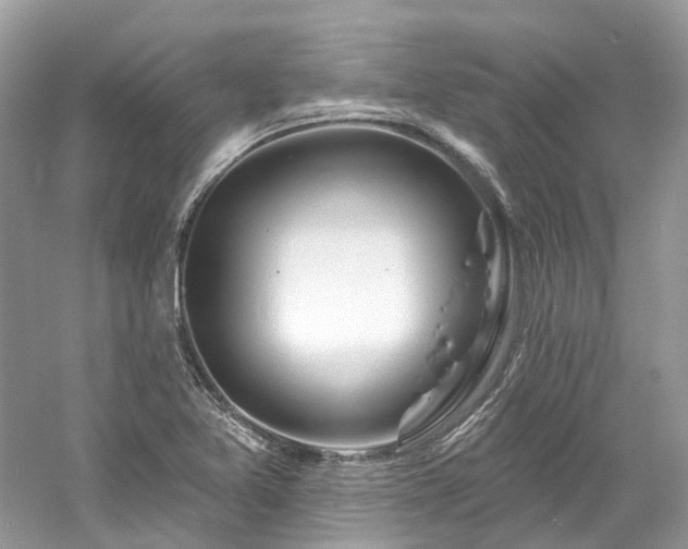 X0000061151365200511181223