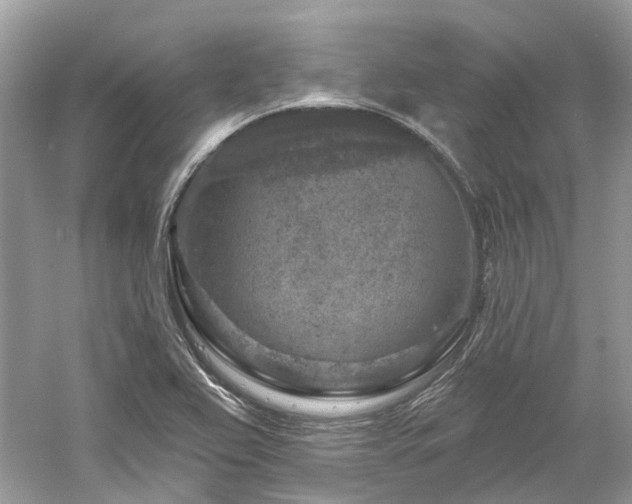 X0000061151367200511181223