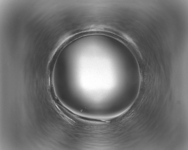 X0000061151368200511181223