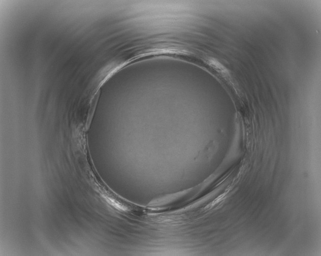 X0000061151369200511181223