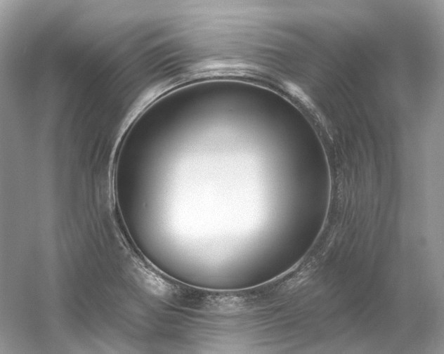 X0000061151370200511181223