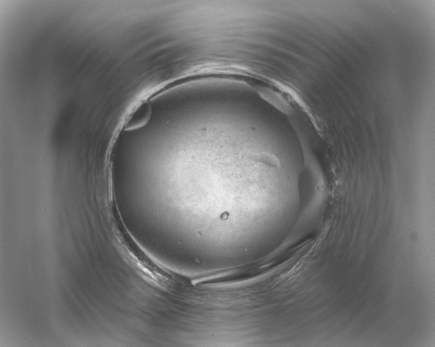 X0000061151371200511181223