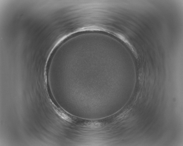 X0000061151372200511181223