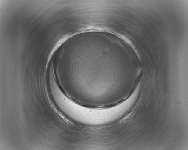 X0000061151373200511181223