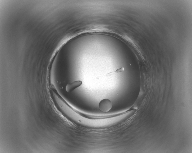 X0000061151374200511181223