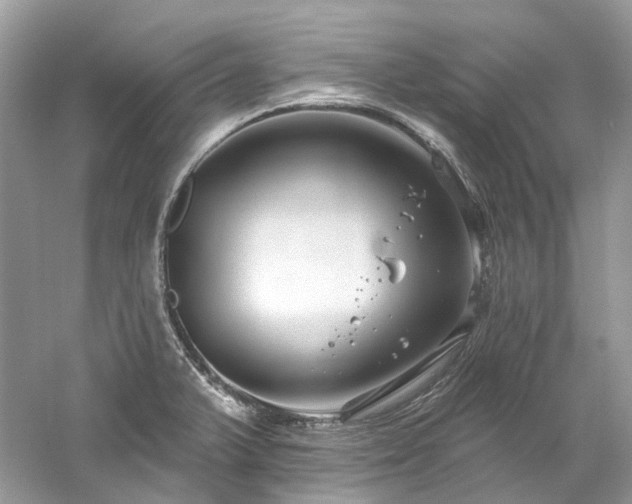 X0000061151375200511181223