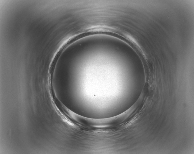 X0000061151376200511181223