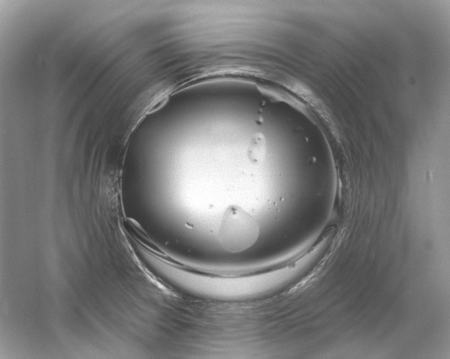 X0000061151377200511181223