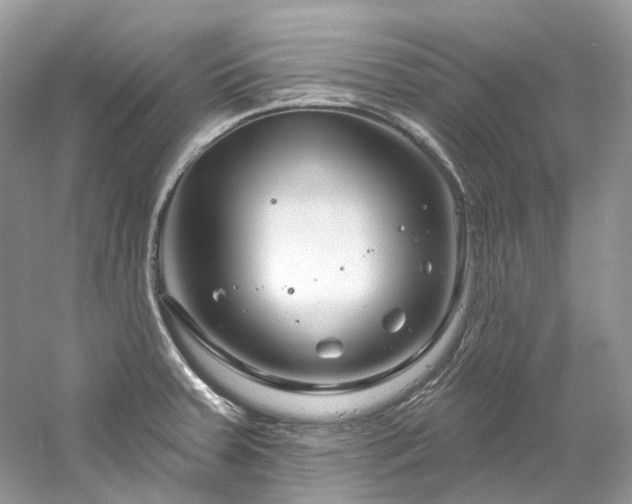 X0000061151379200511181223