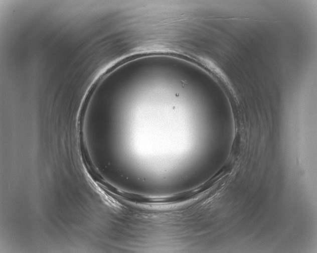 X0000061151380200511181223