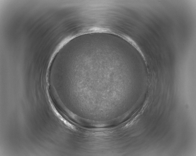 X0000061151381200511181223