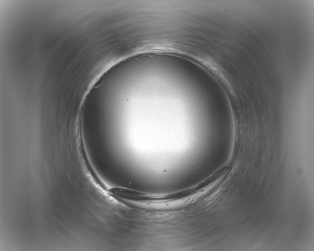 X0000061151382200511181223