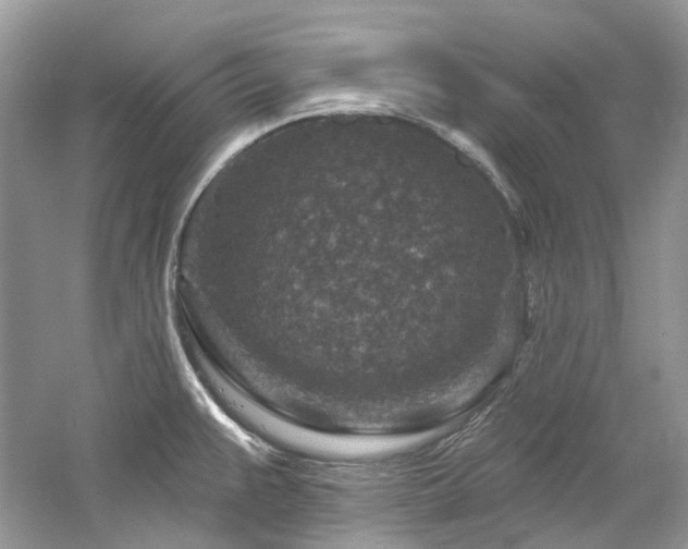 X0000061151383200511181223