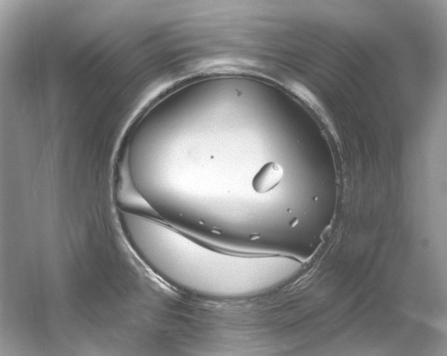 X0000061151384200511181223