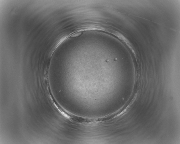 X0000061151385200511181223