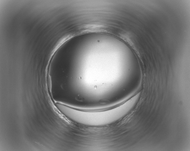 X0000061151386200511181223