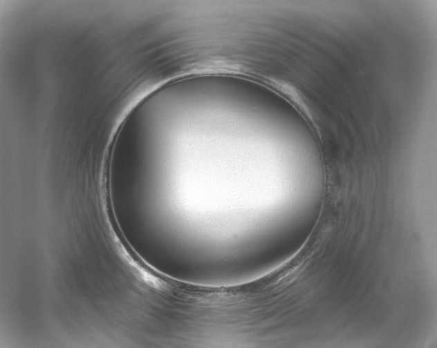 X0000061151387200511181223