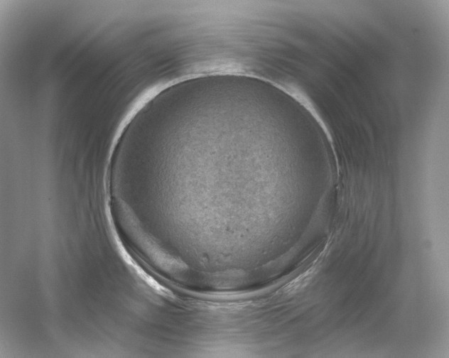 X0000061151389200511181223