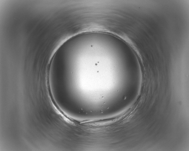 X0000061151390200511181223