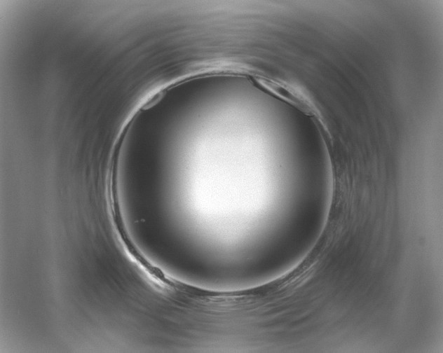 X0000061151391200511181223