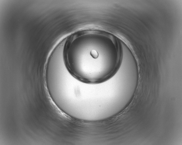 X0000061151392200511181223