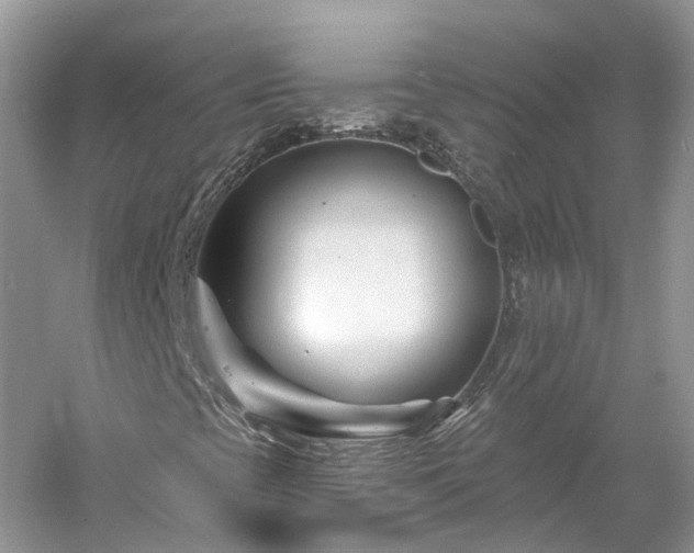 X0000061151393200511181222