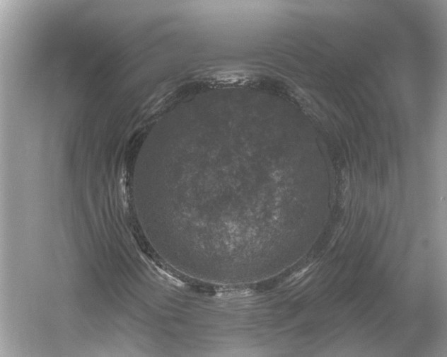 X0000061151394200511181222