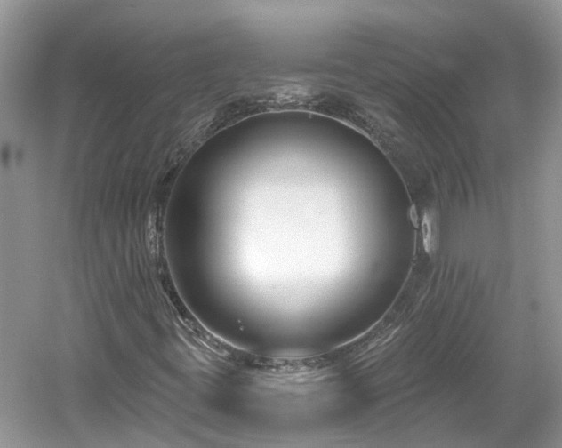 X0000061151395200511181222