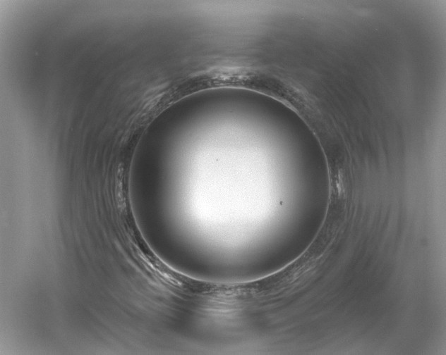 X0000061151396200511181222