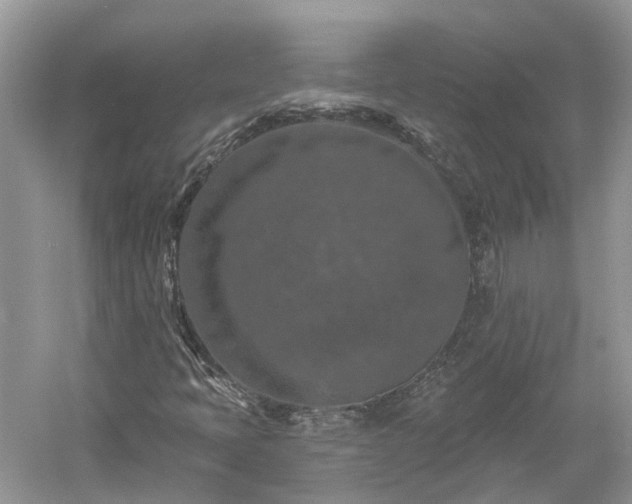 X0000061151397200511181222