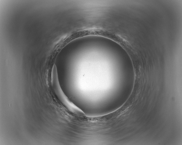 X0000061151398200511181222