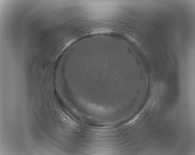 X0000061151401200511181222