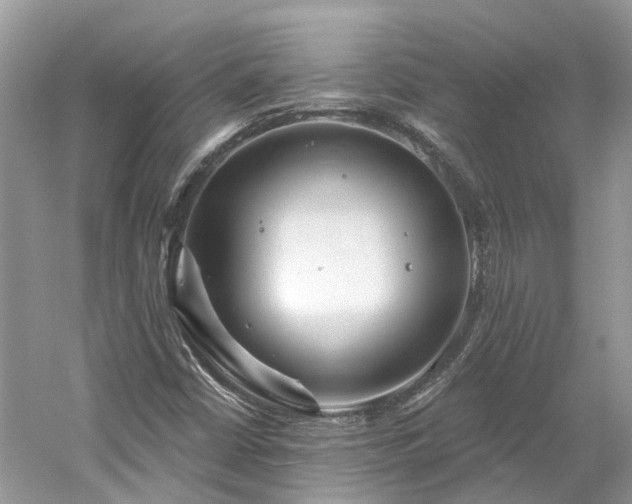 X0000061151402200511181222