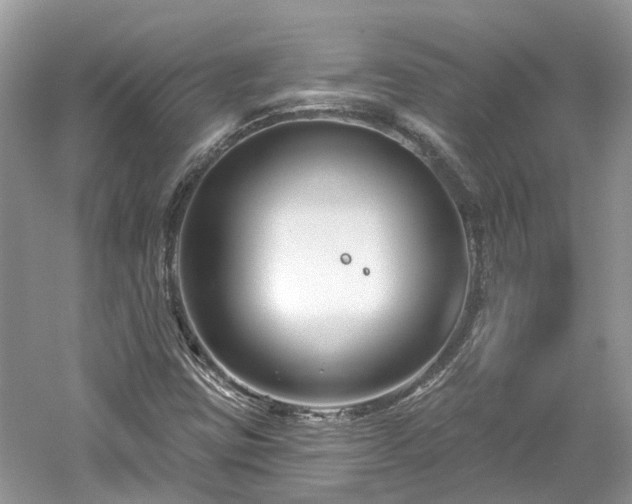 X0000061151403200511181222