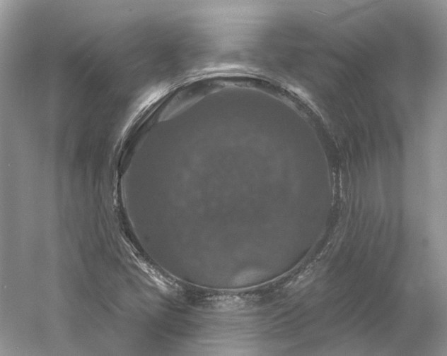 X0000061151405200511181222