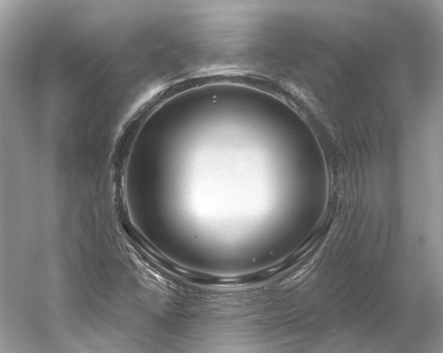 X0000061151406200511181222