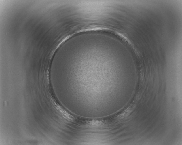 X0000061151409200511181222