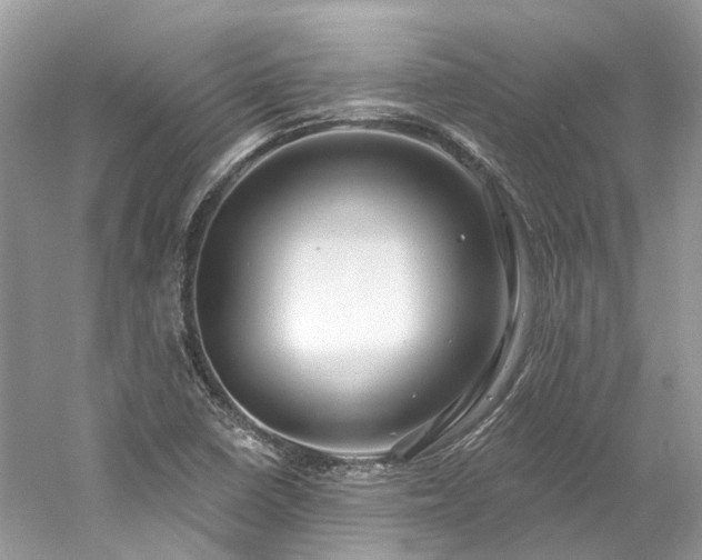 X0000061151410200511181222