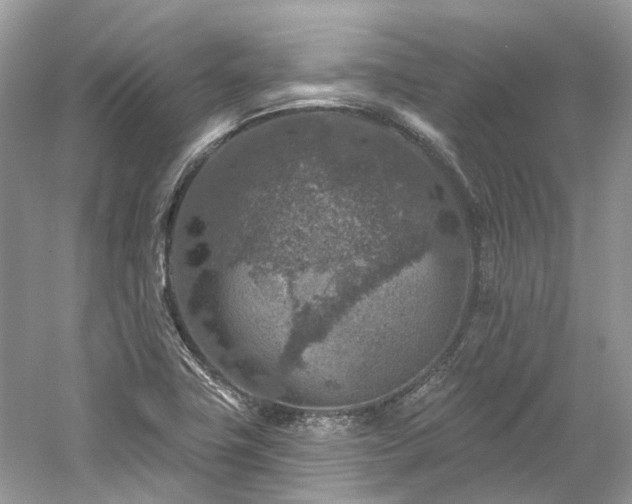 X0000061151411200511181222