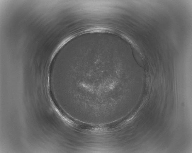 X0000061151418200511181222