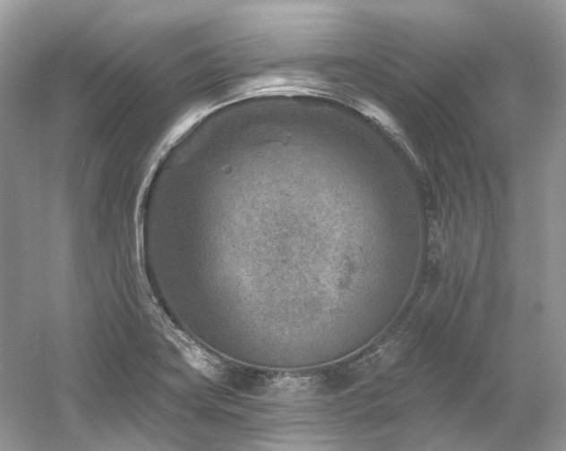 X0000061151419200511181222