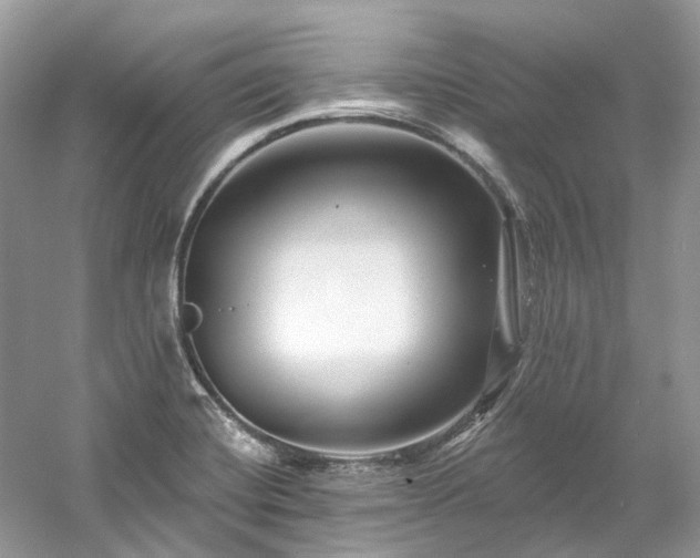 X0000061151420200511181222