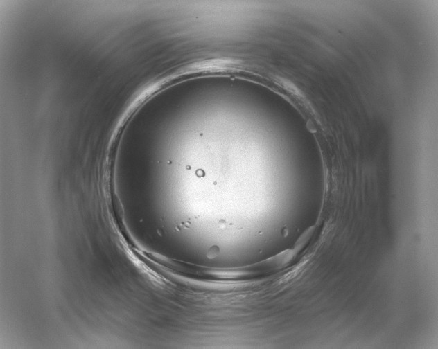 X0000061151421200511181222