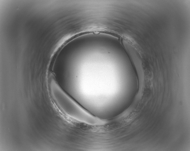 X0000061151422200511181222