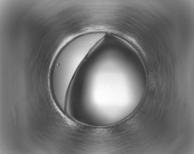 X0000061151424200511181222