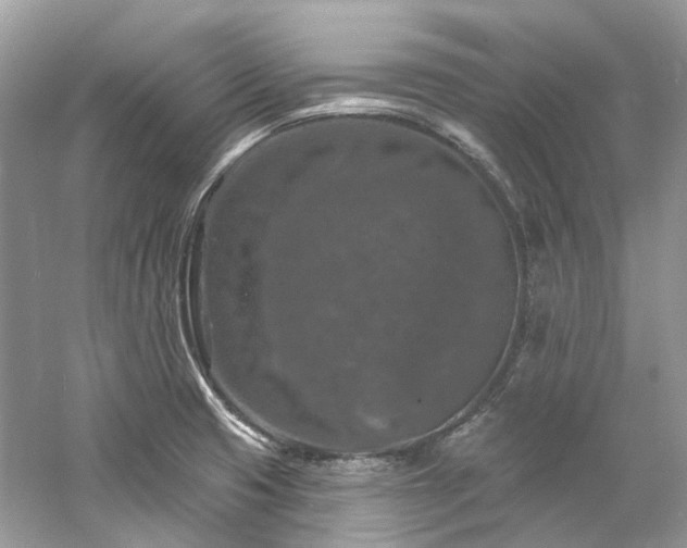 X0000061151425200511181222