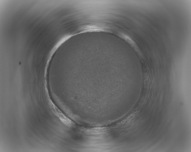 X0000061151427200511181222