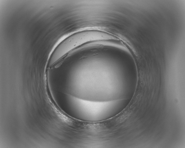 X0000061151428200511181222