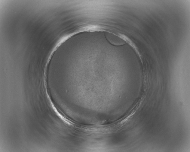 X0000061151429200511181222