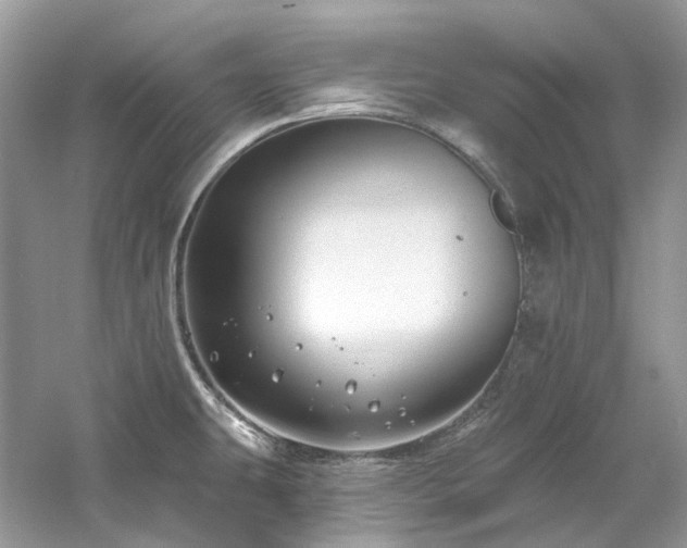 X0000061151431200511181222